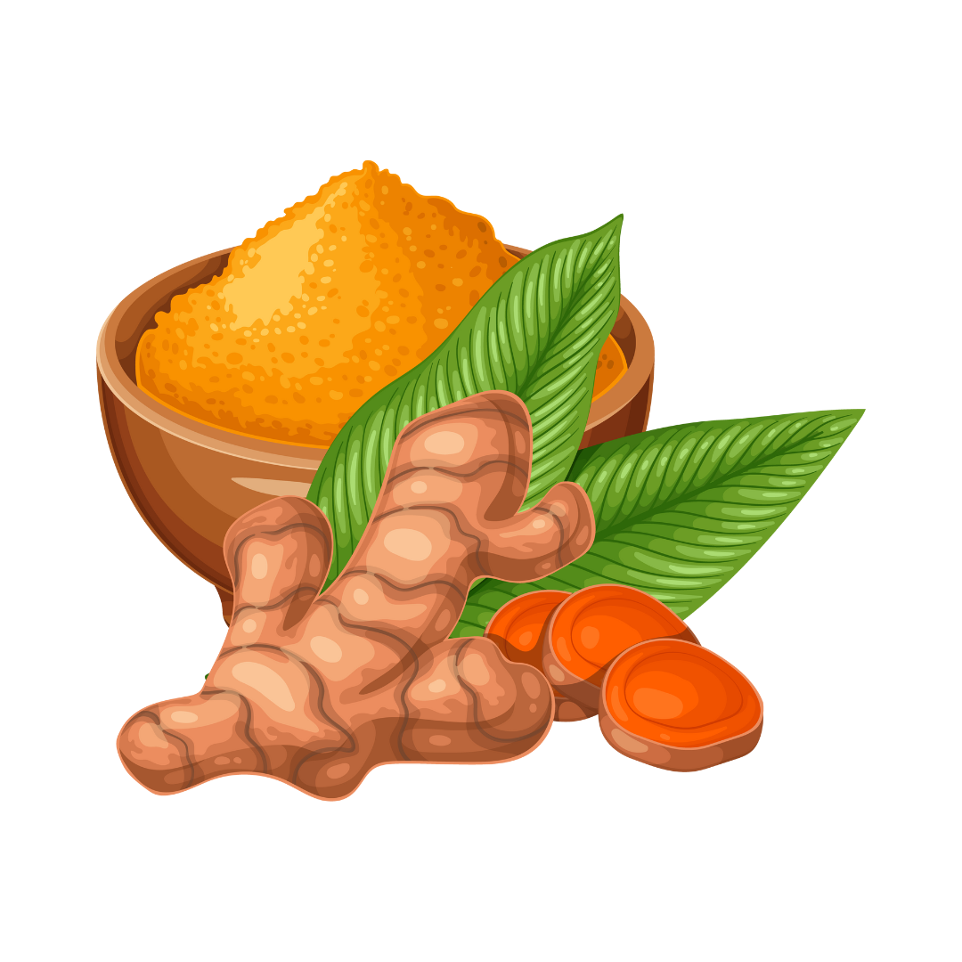 Les Aliments anti inflammatoires